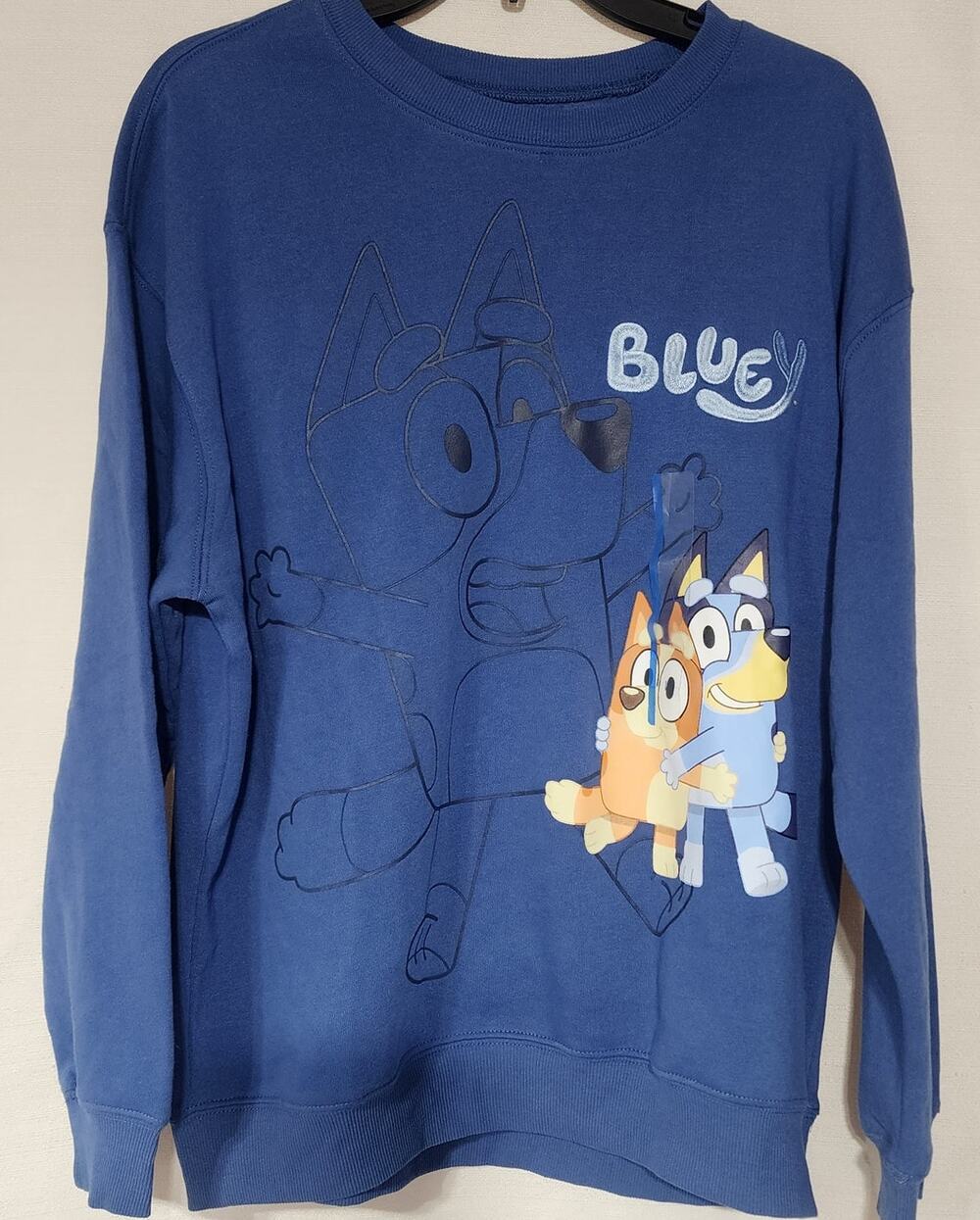 Bluey blue sweatshirt women's large